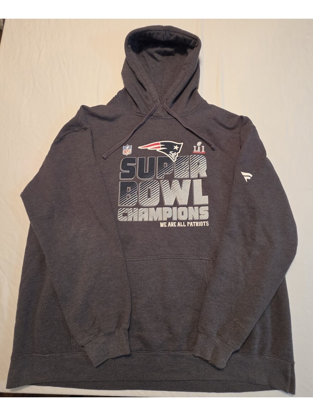 New England Patriots Super Bowl LI 51 Champions We Are All Pats Gray Hoodie 3XL